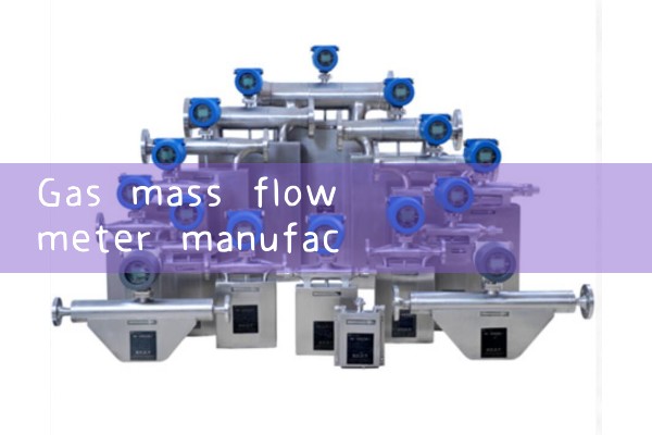 Gas quality flowmeter manufacturer in stock